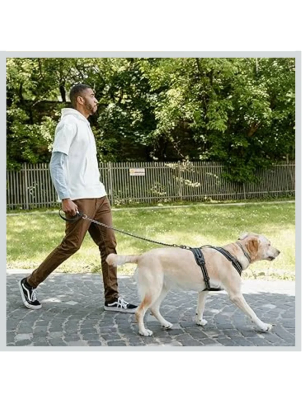 S-ETOVUS chain dog